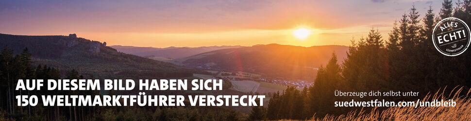 Anzeige